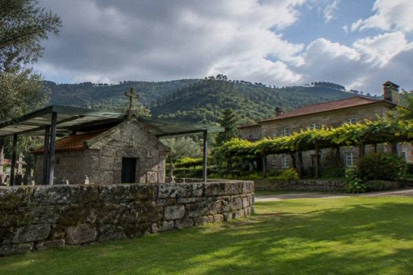 Estate Visit & Tasting, 4 Hours, Braga