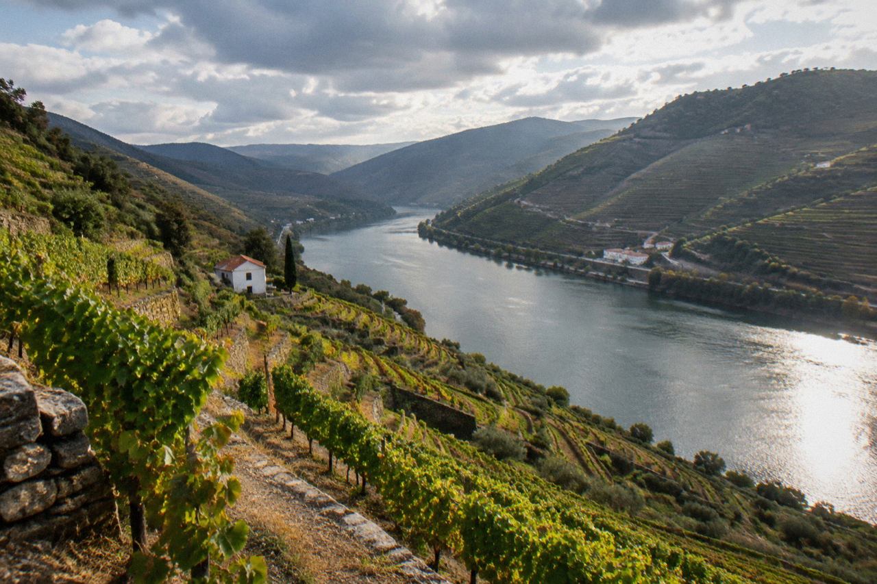 Terraced vineyards rising above a wide river in the Douro Valley of northern Portugal