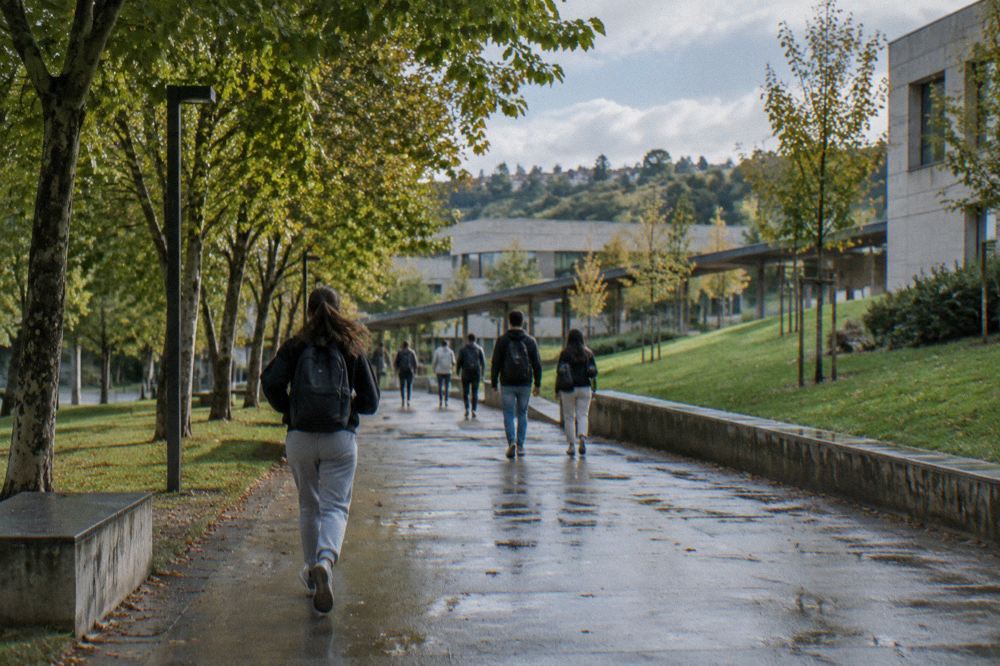 Students walking along a campus path under trees in warm afternoon light
