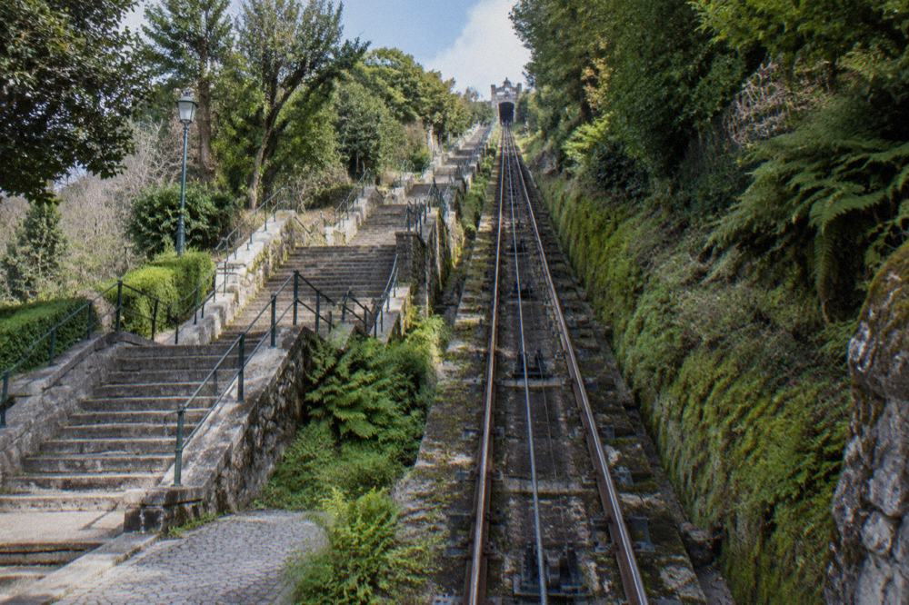 The historic water-counterweight funicular track ascending the wooded slope beside the Bom Jesus stairway