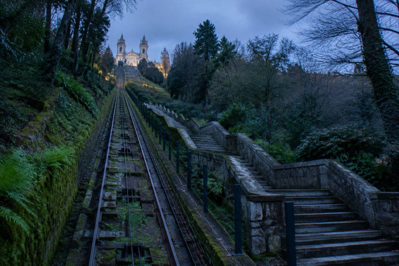The historic wooden funicular car climbing the inclined plane through trees toward the Bom Jesus do Monte sanctuary in Braga