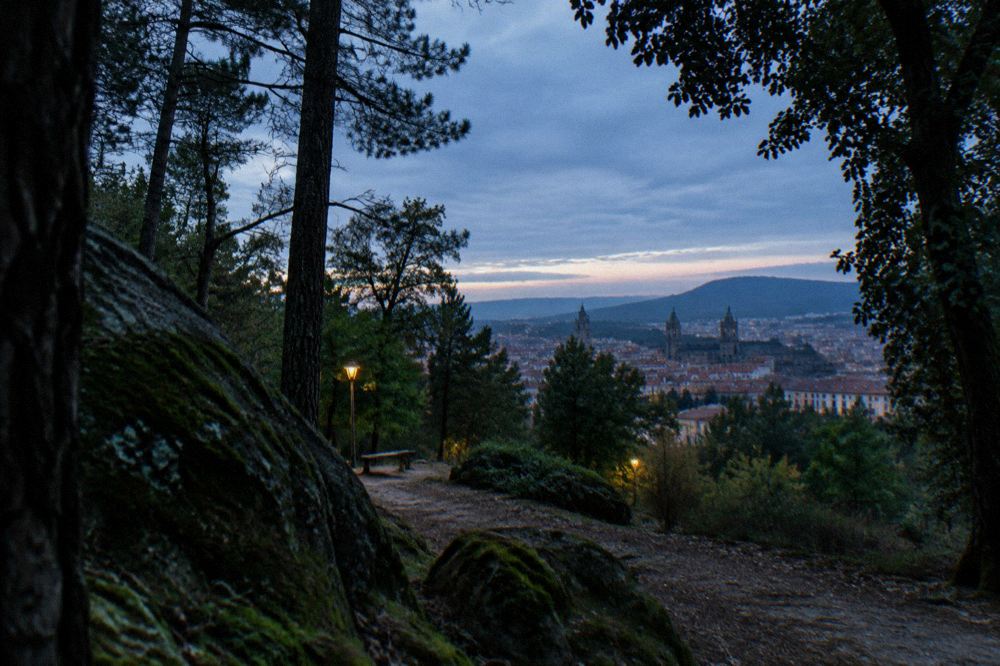 Evening light over a city skyline of towers and rooftops seen from a hilltop path