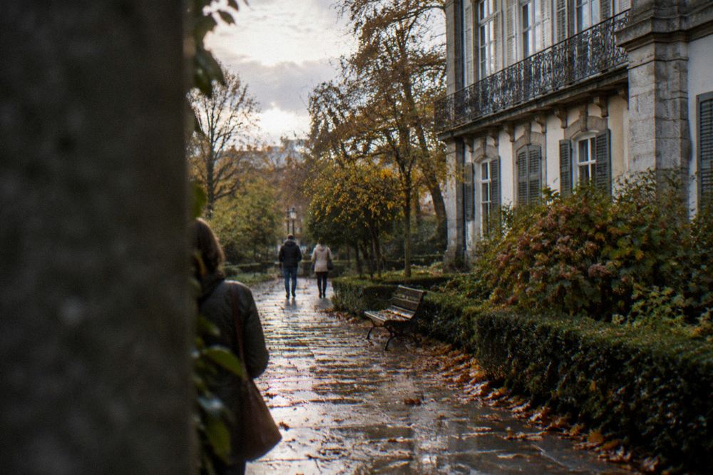 A garden path with autumn leaves and rain-wet stone under overcast light