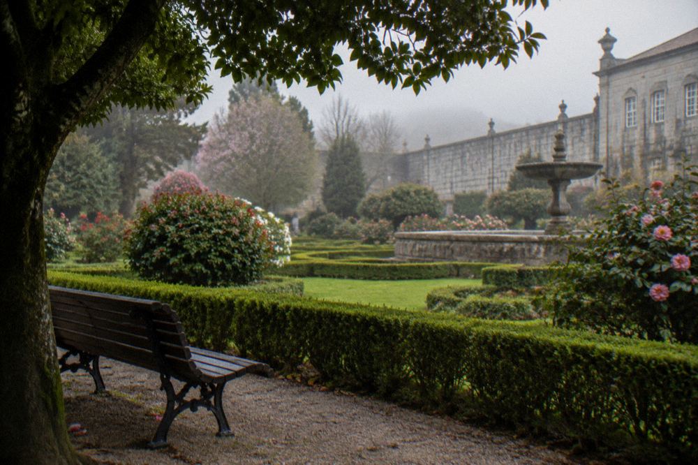 A shaded bench under a tree beside a low hedge with flower beds beyond