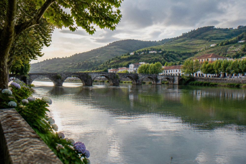 Vineyard terraces on hillsides near a river in northern Portugal