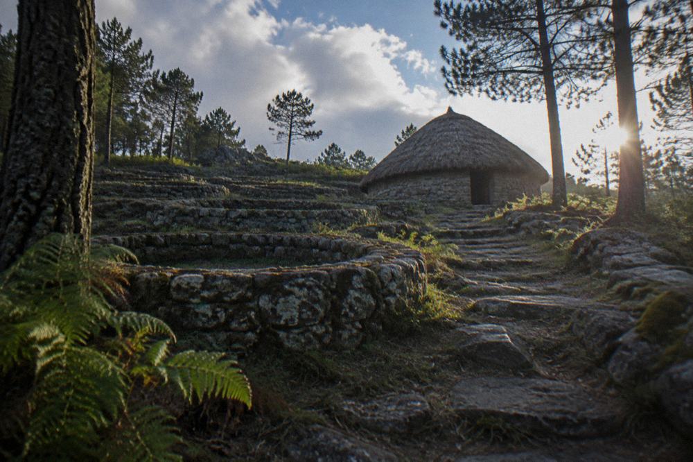 Reconstructed thatched round house standing among stone house footings