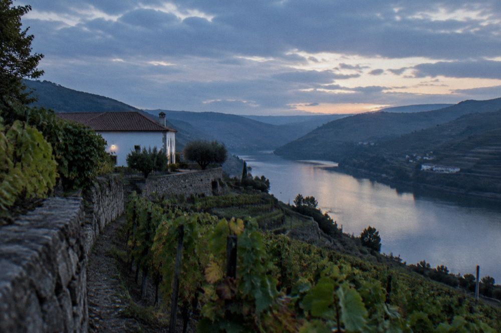 A wine estate building above the terraced banks of the Douro river