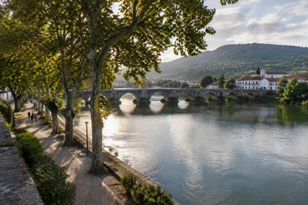 A riverside promenade lined with tall plane trees casting shade over a walking path beside the water