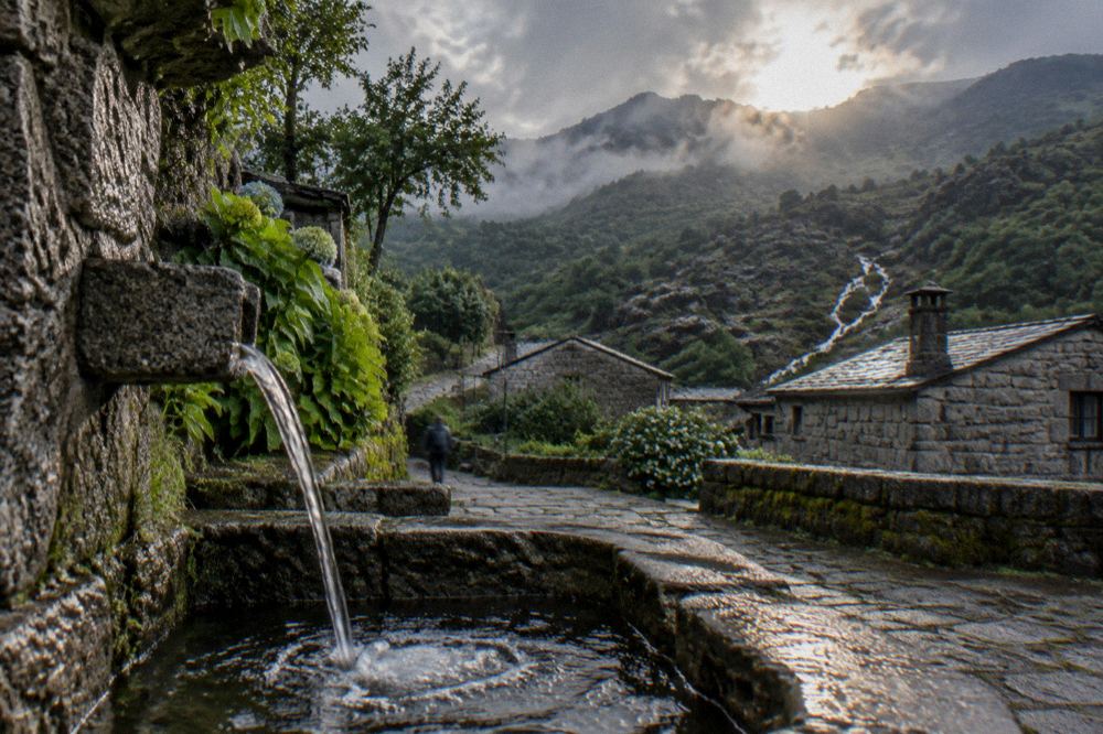 A quiet garden fountain with water flowing into a stone basin