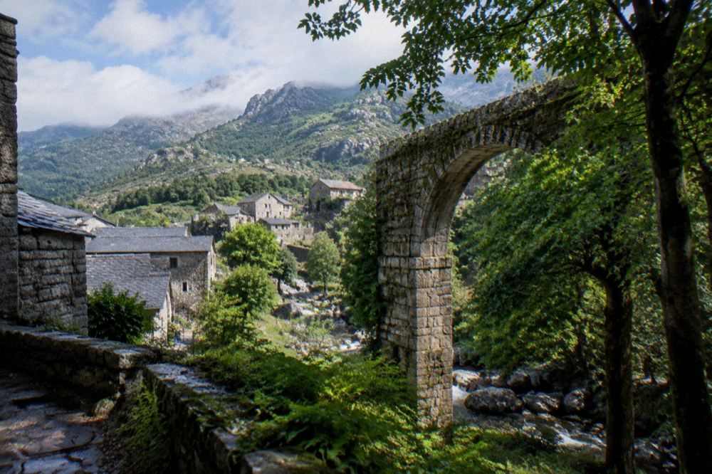 An old stone aqueduct arch standing among trees at the edge of a city