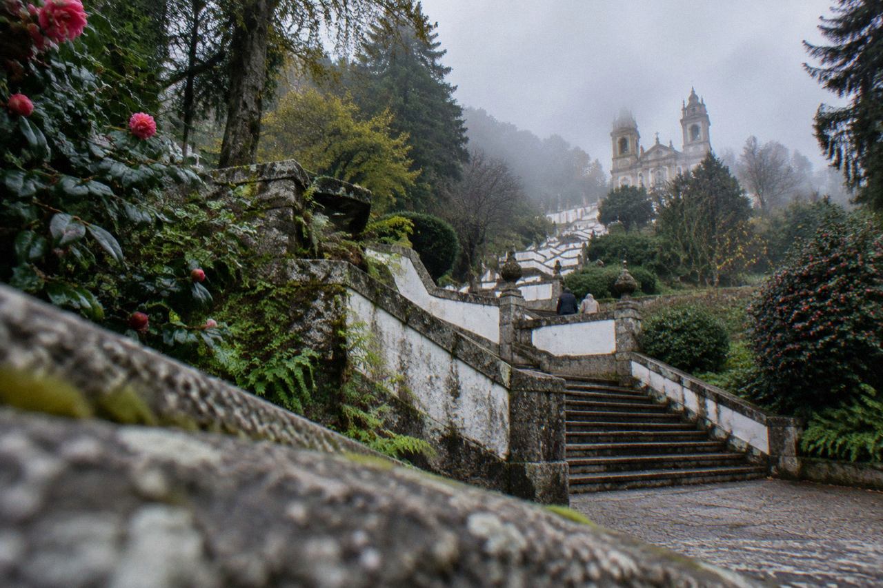The baroque stairway of Bom Jesus do Monte rising through woodland above Braga