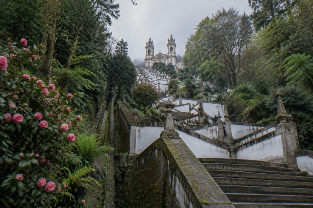 The baroque stairway of Bom Jesus do Monte climbing through woodland to the sanctuary