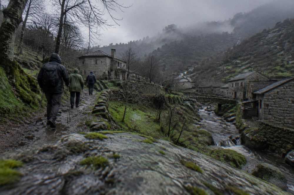 Hikers in rain jackets walking a muddy path through bare winter woodland
