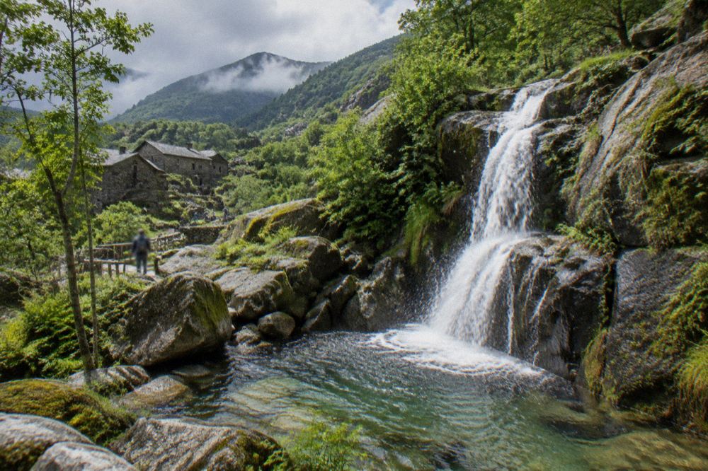 A waterfall dropping into a clear pool between mossy granite rocks in a forest park