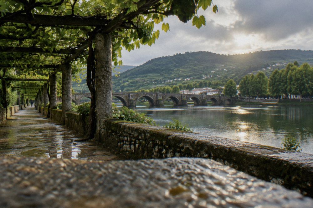 A traditional pergola-trained vine growing over a granite pathway at a Minho estate